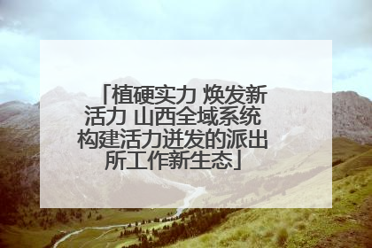 植硬实力 焕发新活力 山西全域系统构建活力迸发的派出所工作新生态
